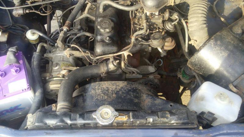 TOYOTA Hilux Single 1980