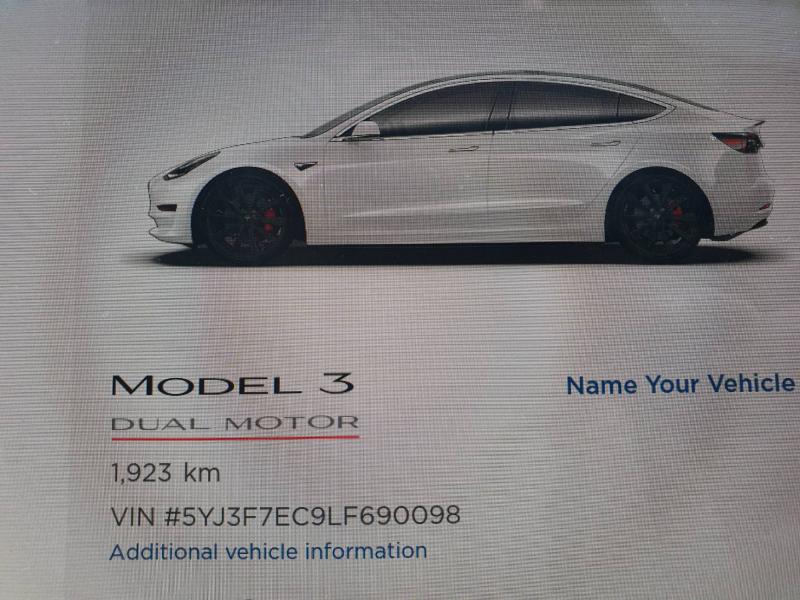 0 model 3 Performance 2020